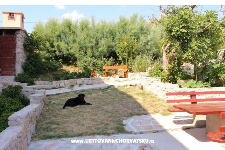 Apartmanok Marela – fotó 17