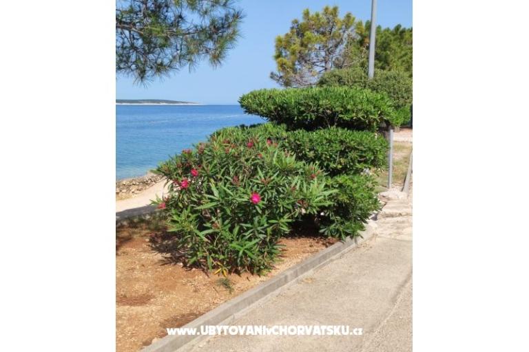 Dolphin view + pool by the beach – fotó 8