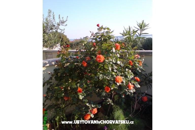 Marea Apartmanok Mandre – fotó 6