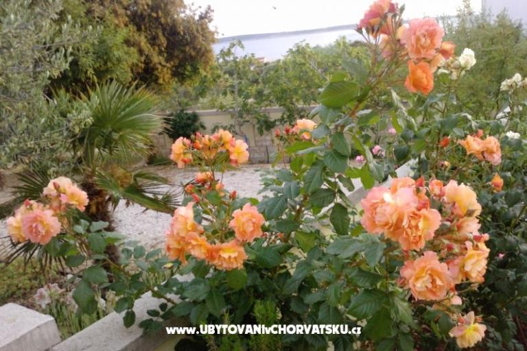 Marea Apartmanok Mandre – fotó 8