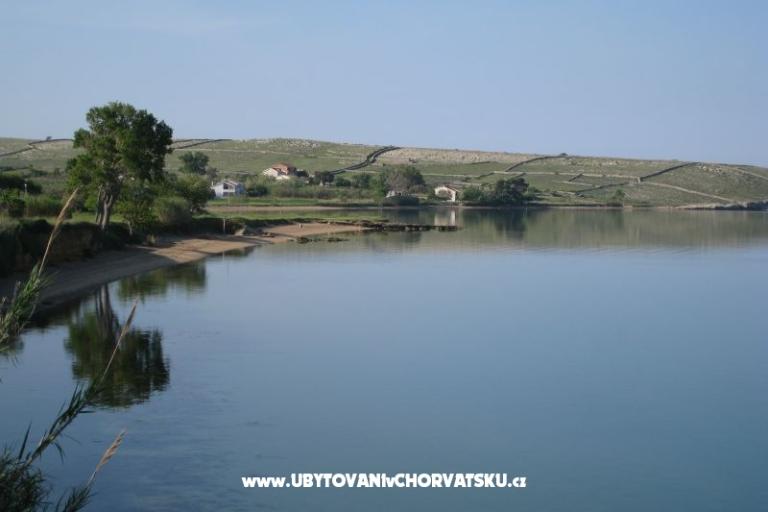 Stonehouse Dana – fotó 10