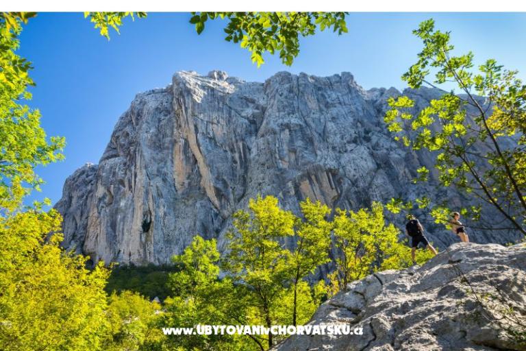 Apartman Agava Seline – fotó 9