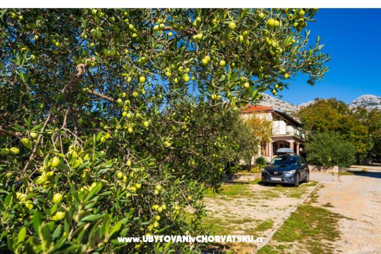 Apartmanok Adriana – fotó 9