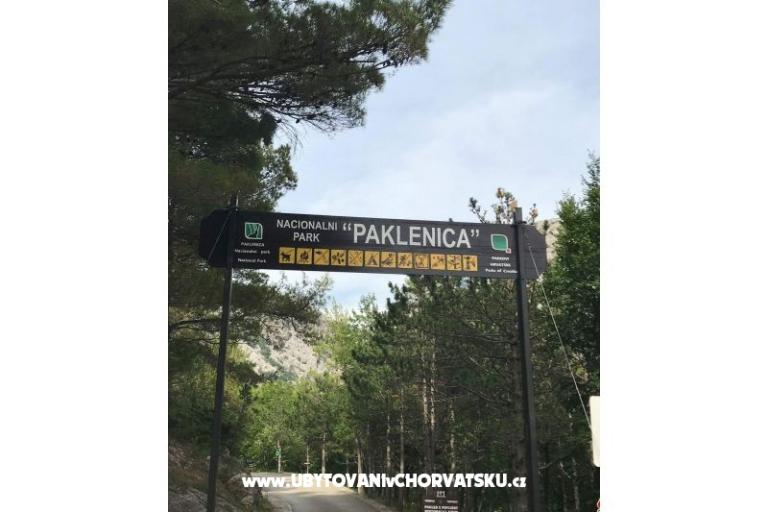 Apartmanok Merion – fotó 8