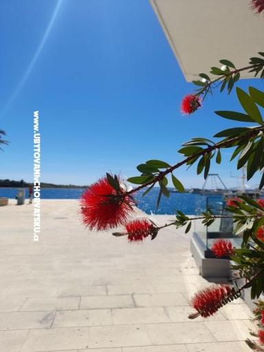 Apartmanok Tomic – fotó 10