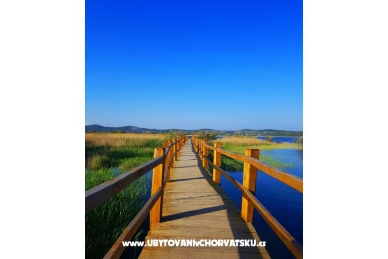 Apartmanok Tomic – fotó 14