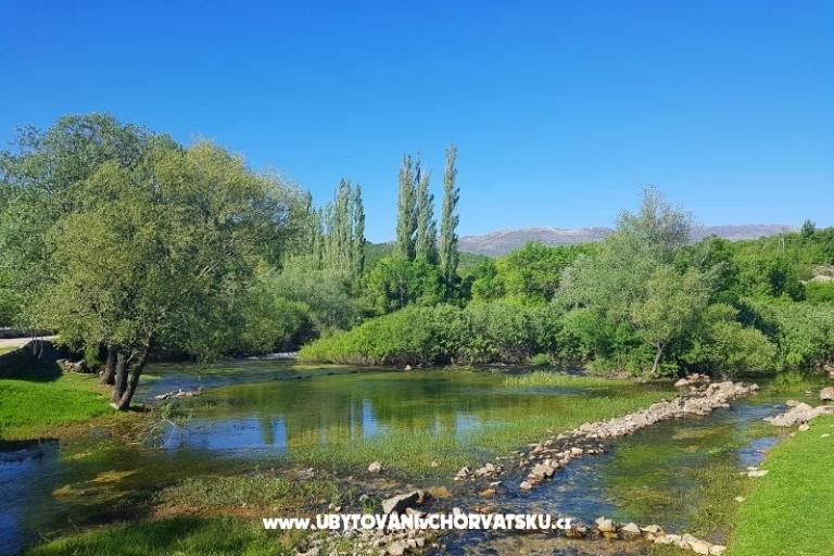 Apartmanok Tomic – fotó 3
