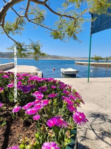 Apartmanok Tomic – fotó 8