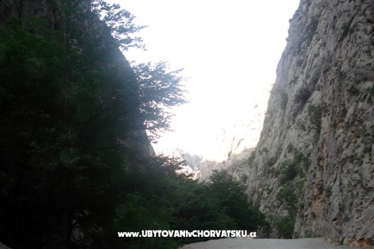 Apartmanok vesela – fotó 5
