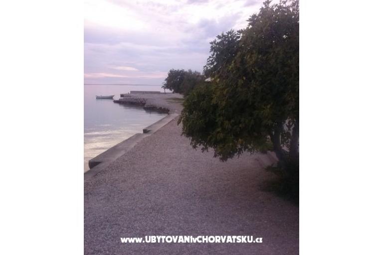 Apartmanok Vitrenik – fotó 5