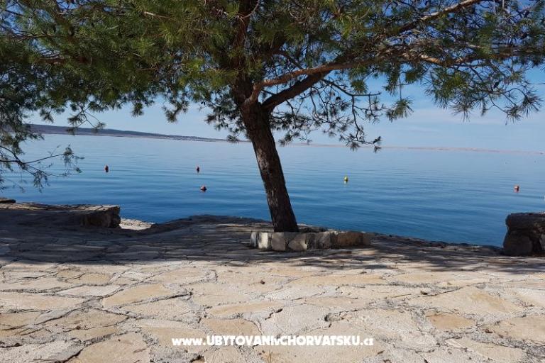 Apartmanok Bosi i Goli – fotó 15