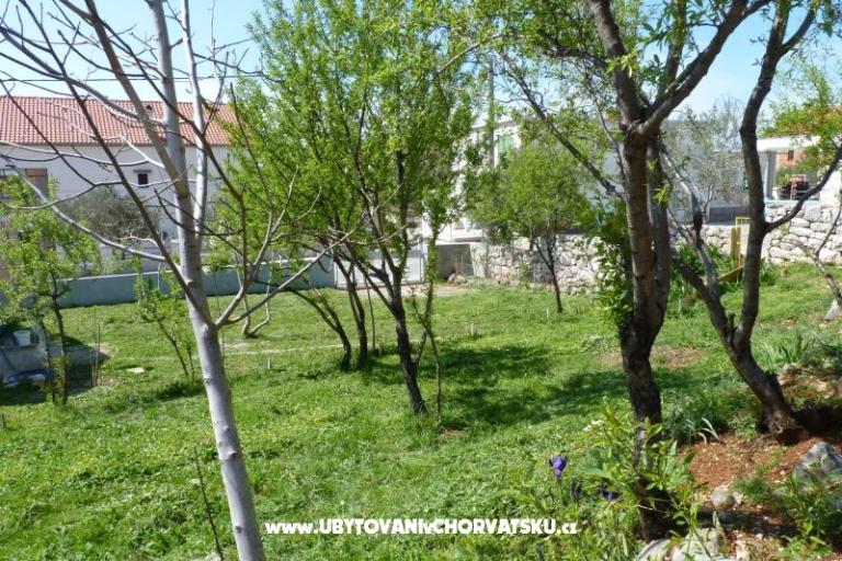 Pansion Ivan – fotó 6