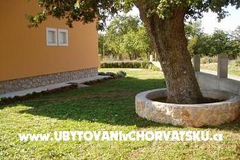Apartmanok Mirjana*** – fotó 12