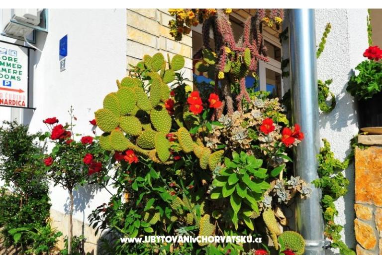 Apartmanok Bernardica – fotó 10