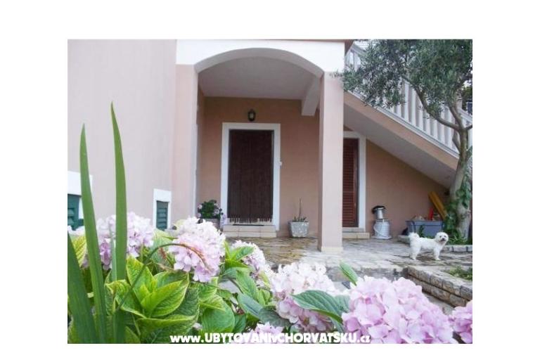 Apartmanok Antonela – fotó 2