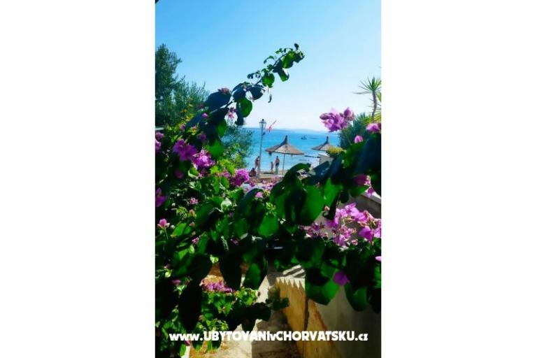 Apartmanok Bonaca – fotó 11
