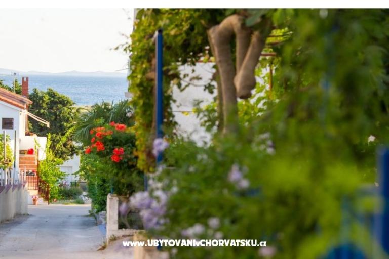 Apartmanok Ino – fotó 16