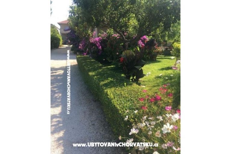 Apartmanok Jasa  – fotó 10