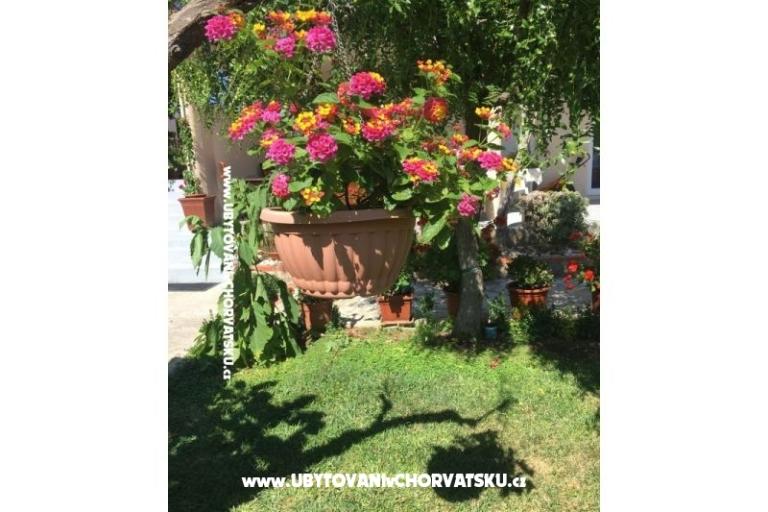 Apartmanok Jasa  – fotó 15