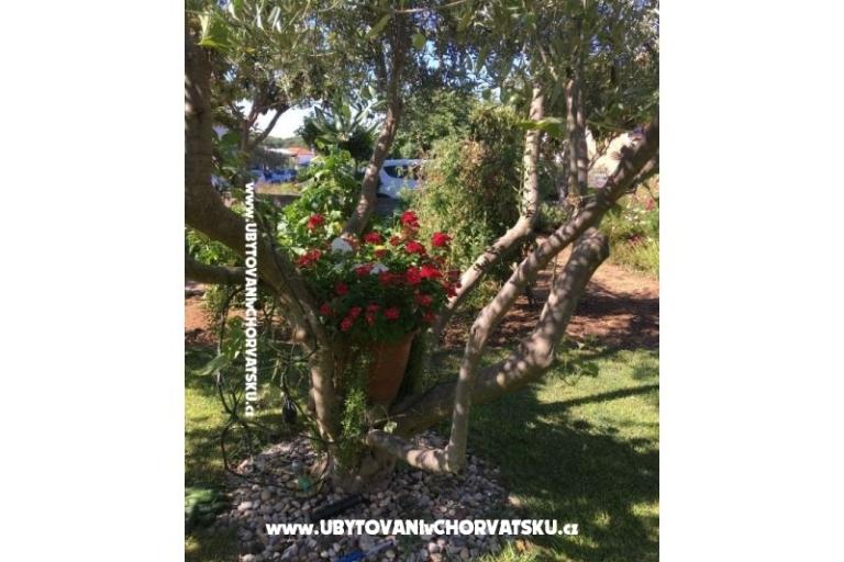 Apartmanok Jasa  – fotó 16