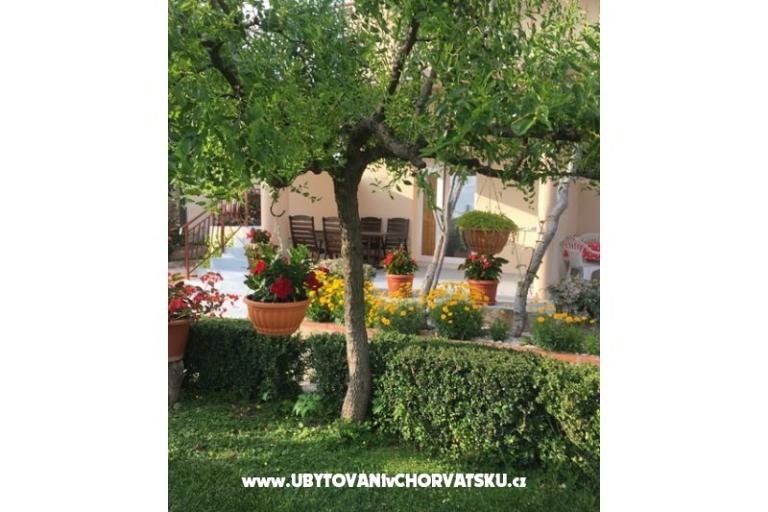 Apartmanok Jasa  – fotó 3