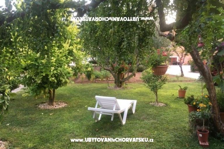 Apartmanok Jasa  – fotó 8