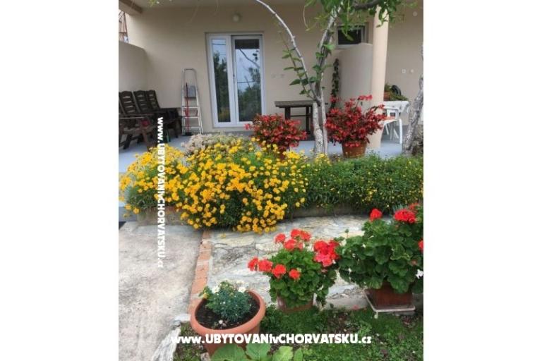 Apartmanok Jasa  – fotó 9