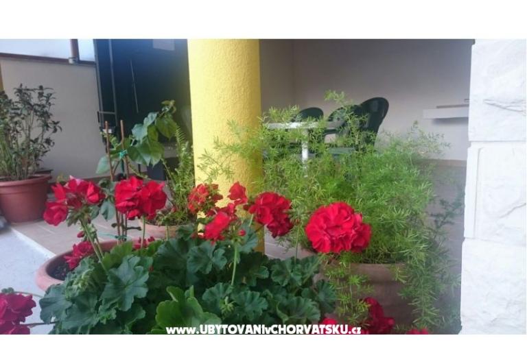 Apartmanok Lucija – fotó 6