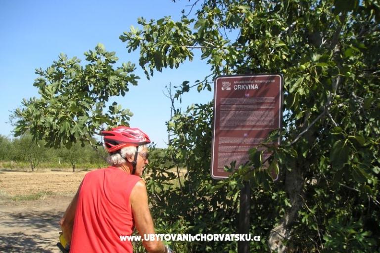 Apartmanok Mario – fotó 17