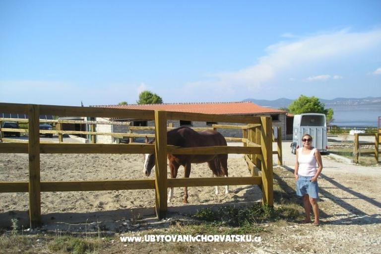 Apartmanok Mario – fotó 18