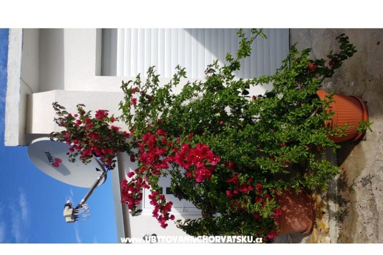 Apartmanok Pipi – fotó 12