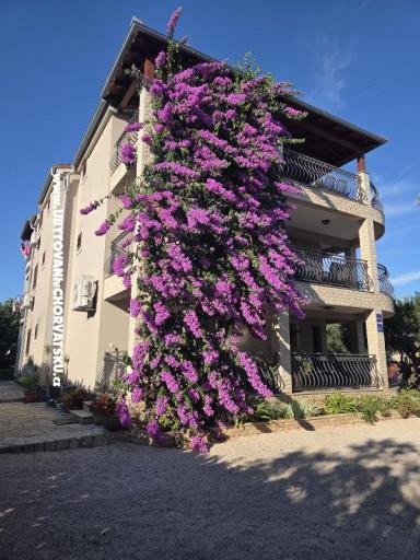 Apartmanok Silvija – fotó 19