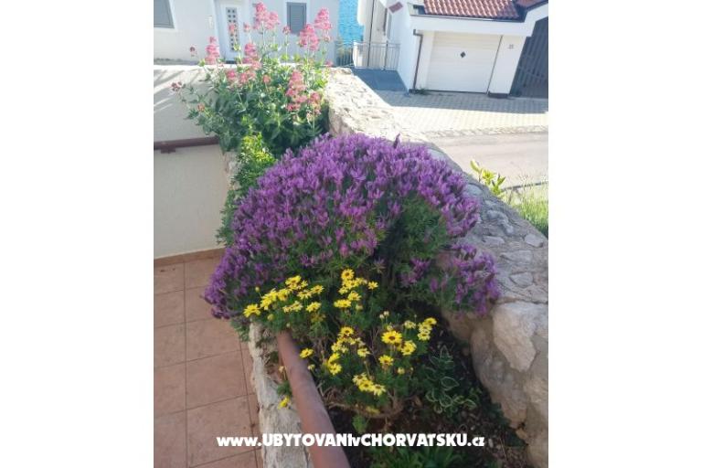 Apartmanok Šimun – fotó 11