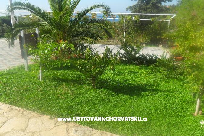 Apartmanok Leo – fotó 13