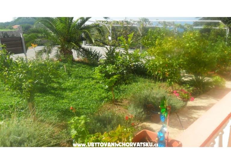Apartmanok Leo – fotó 22