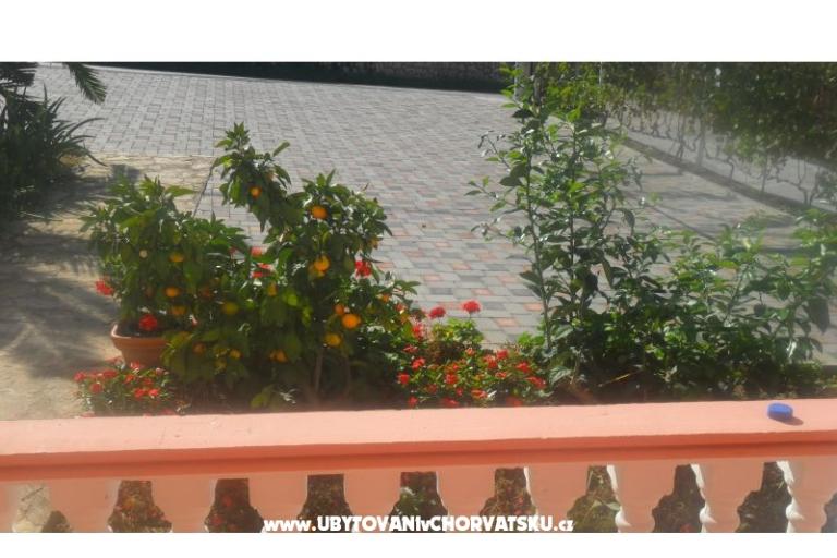 Apartmanok Leo – fotó 24