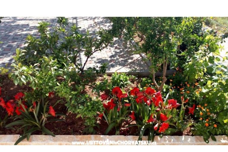 Apartmanok Leo – fotó 36