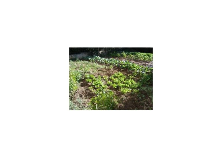Apartmanok Rosan Pakostane – fotó 15