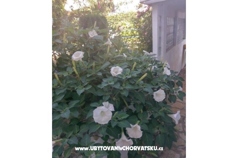 Apartmanok Marija-Tkon – fotó 6