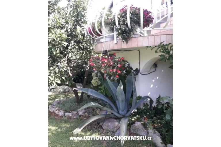 Apartmanok Lokva – fotó 4