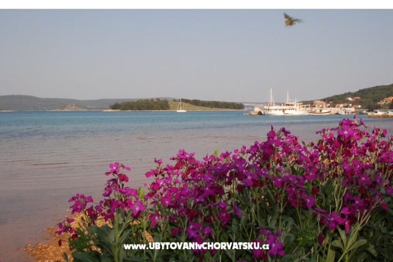 Apartmanok Marinero – fotó 9