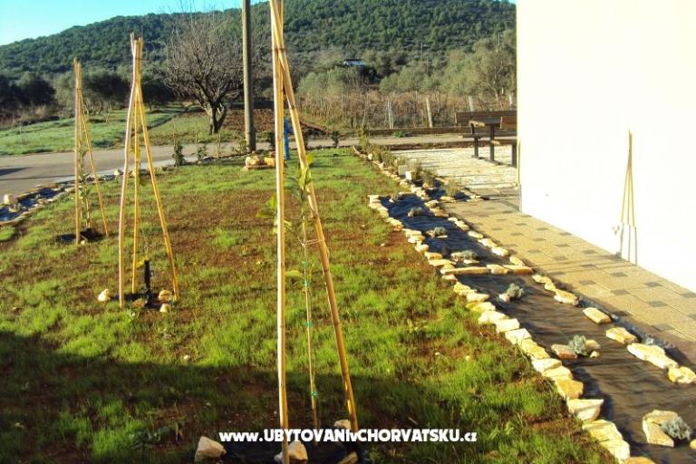 Apartmanok Pašman – fotó 16