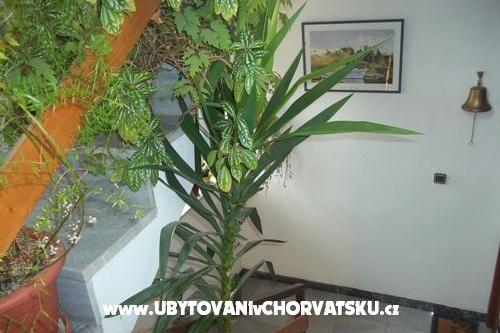 Apartmanok Dragica Pedisic – fotó 9