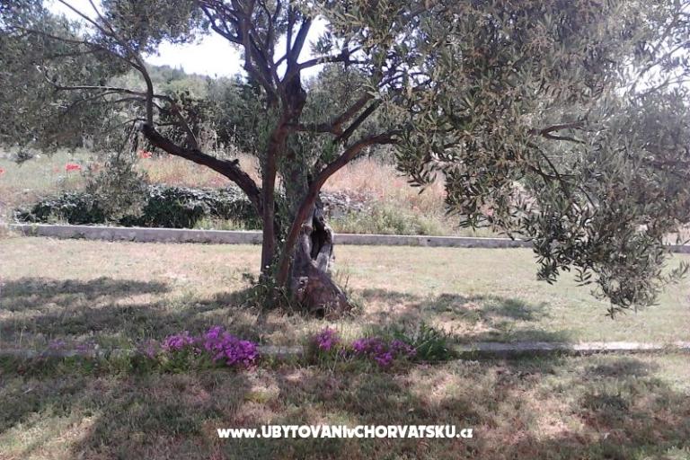 Apartmanok Villa Banjka – fotó 17
