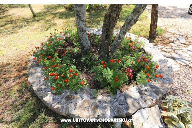 Apartmanok Suzana – fotó 18