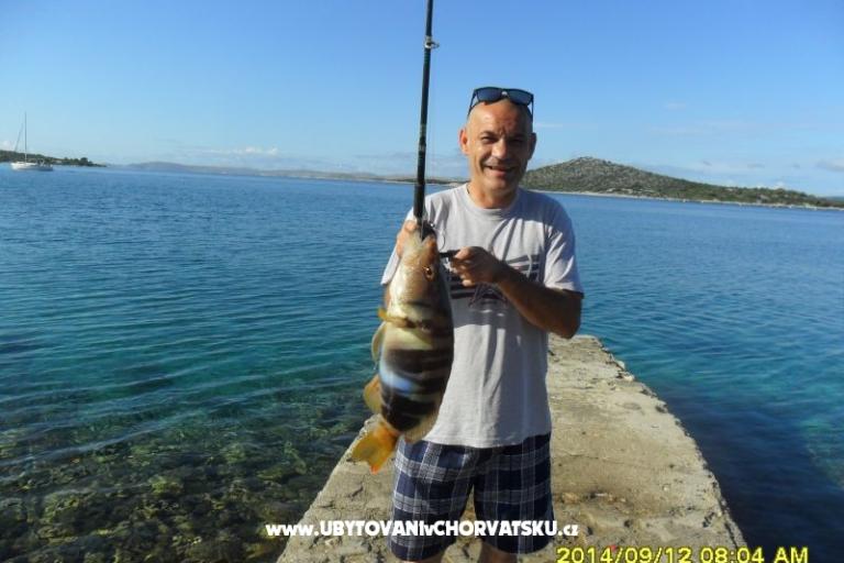 Robinzon Lanterna – fotó 15