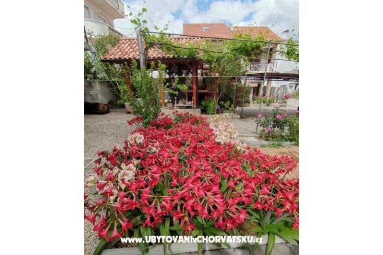 Apartmanok Ivan  – fotó 14