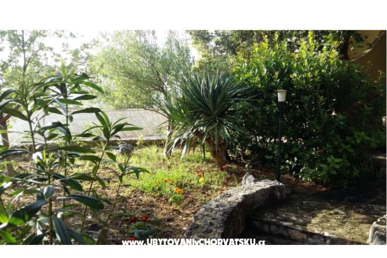 Apartmanok Dani – fotó 11