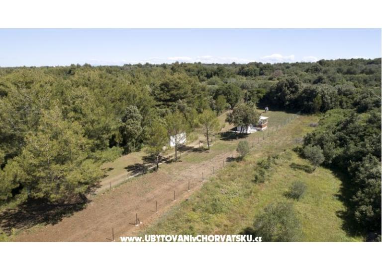 Mobile home Plat Kožino – fotó 11