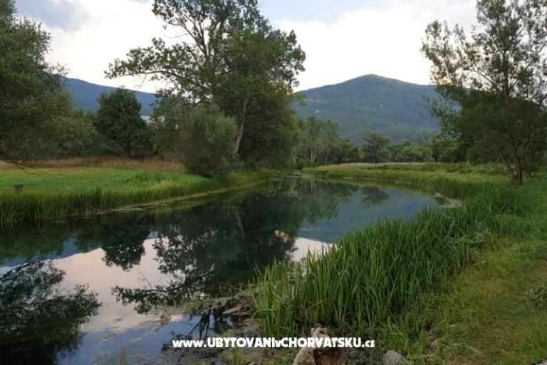 Apartmanok Paradiso – fotó 10